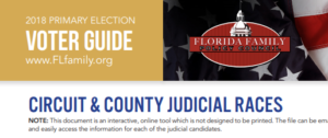 voter guides, voter guide resources