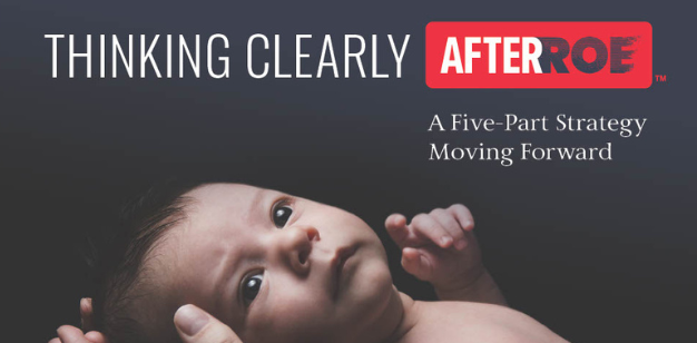Thinking Clearly After Roe: A Five Part Strategy Moving Forward