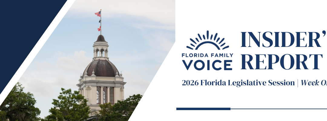 An Inside Look at the First Week of Session