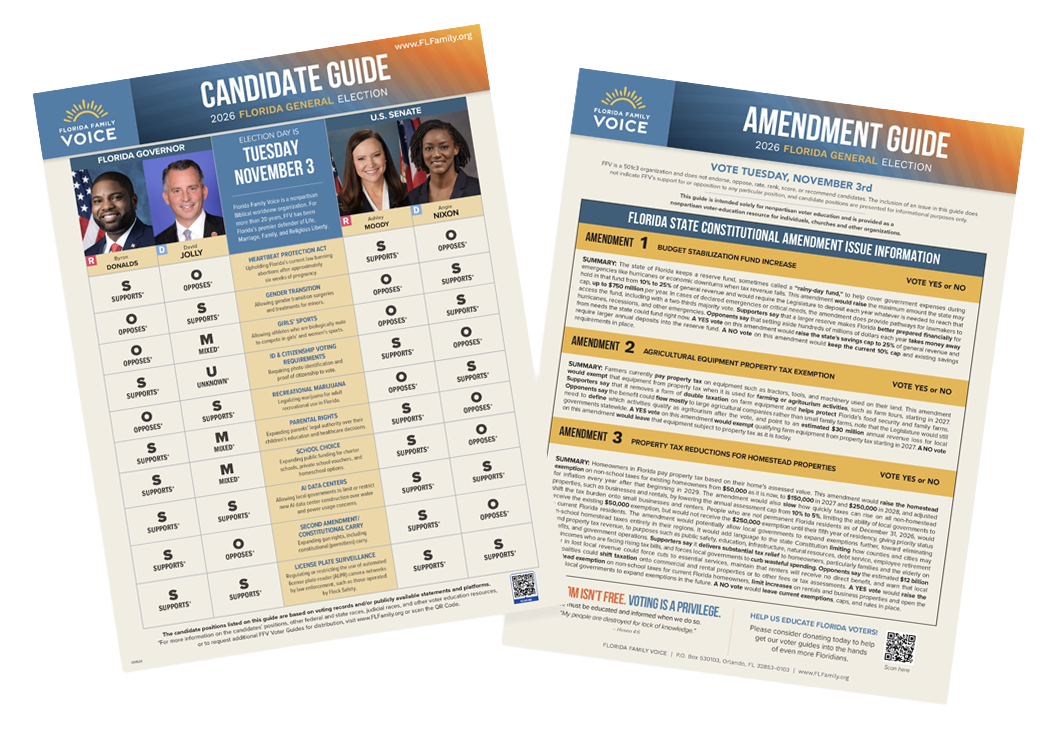 VG.2.Graphic.English Florida 2026 Election and Amendment Guide