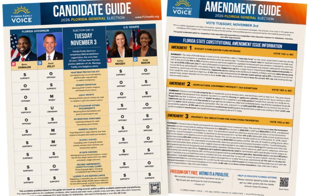 General Election Guide Available Now!