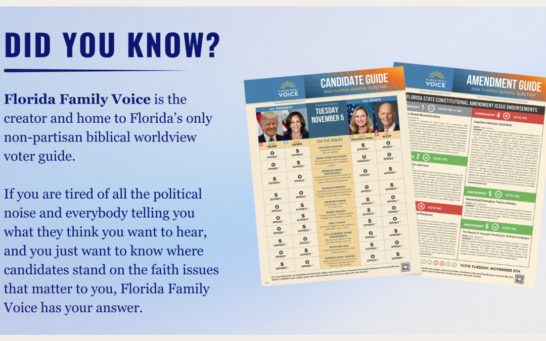 A Voter Guide with Actual Value!